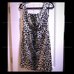 WHBM Animal Print Dress